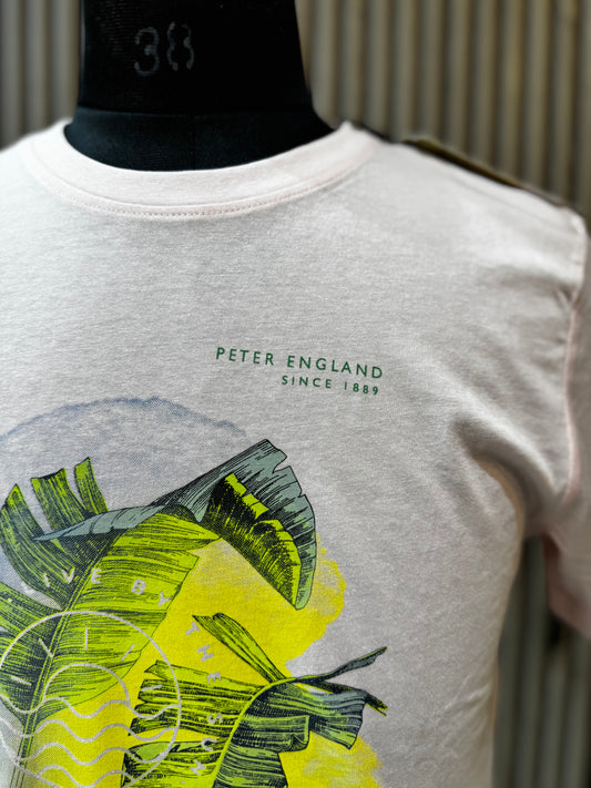 Peter England T-Shirt Half Sleeves  L