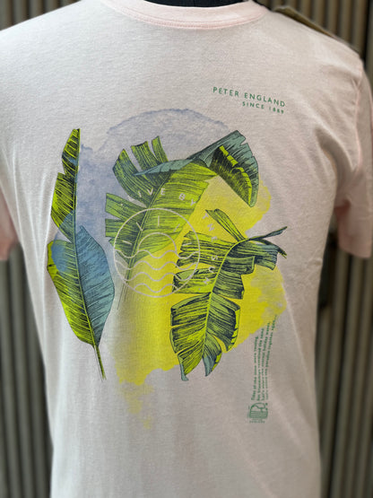 Peter England T-Shirt Half Sleeves  L